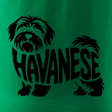 Havanese nápis v tele