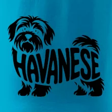 Havanese nápis v tele