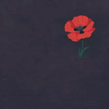 Vlčí mak kreslený na prsníku