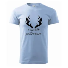 Harry - Expecto patronum Harry - Expecto patronum