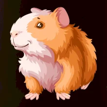 Morča - kreslené, bielo oranžové