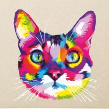 Mačka dúhová hlava