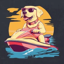 Zlatý retriever na vodnom skútri