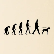 Evolúcia pes stavač Evolúcia pes stavač