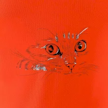 Mačka tvár kresba Mačka tvár kresba