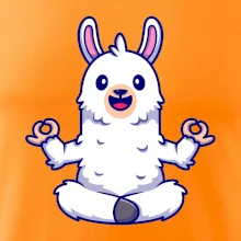 Yoga meditácie - lama