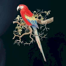 Papagáj  na listnatom strome