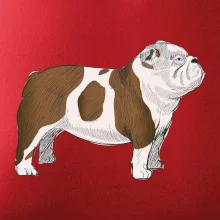 Vintage English bulldog