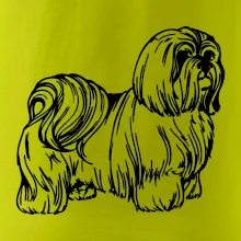 Shih-tzu - chlpatý Shih-tzu - chlpatý