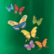 Farebné motýle Farebné motýle