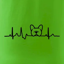 EKG Francúzsky buldoček hlava