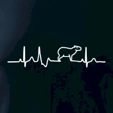 Ekg Capybara