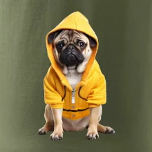 Mops v mikine Mops v mikine