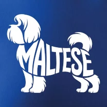 Maltézsky psík nápis v tele