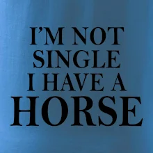 I have a horse I have a horse