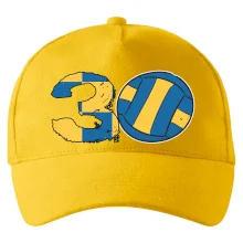 Volejbal okrúhle narodeniny 30