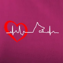 Nemecký ovčiak ekg