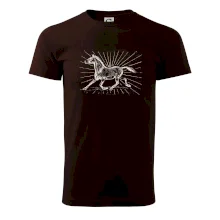 Kôň a lúče Kôň a lúče