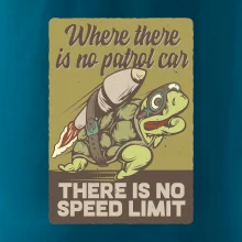 Korytnačka na cestách