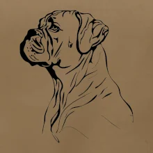 Boxer čierna kresba