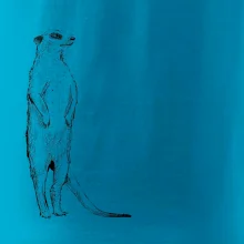 Surikata čierna kresba