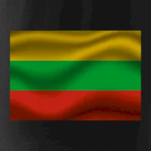 Litva vlajka obdĺžnik