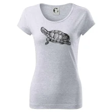 Ceruzkou kreslená korytnačka