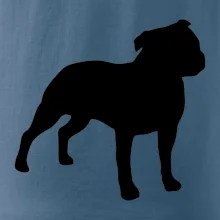 Americký stafordšírsky teriér Na prsníku