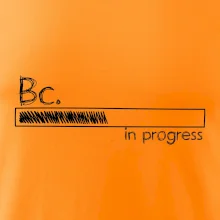 In progress titul Bc. bakalár / bakalárka