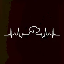 Labradorský retriever‎ EKG