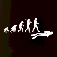 Evolúcia potápanie