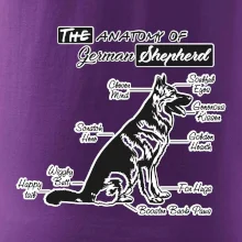 Nemecký ovčiak - Anatómia