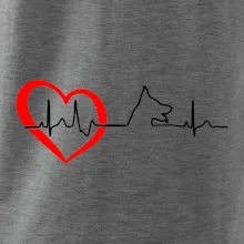 Nemecký ovčiak ekg