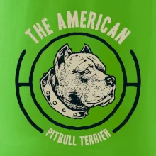 Americký pitbull terier hlava
