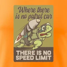 Korytnačka na cestách