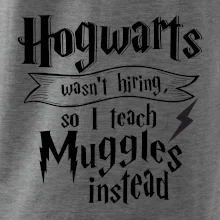 Harry - Hogwarts wasn’t hiring, so I teach Muggles instead