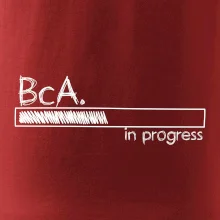 In progress titul BcA. bakalár / bakalárka umenia