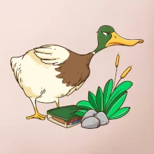 Geokáčer s keškou