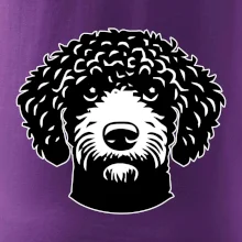 Lagotto romagnolo hlava na prsníku