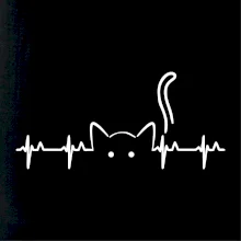 Mačka EKG Mačka EKG