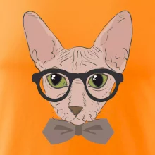 Hipster sphynx
