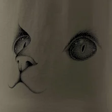 Mačacie oči čierne