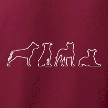 Americký stafordšírsky teriér v rôznych pozíciách