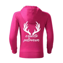 Harry - Expecto patronum