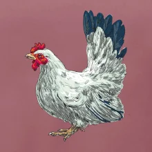 Sliepka kreslená biela