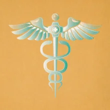 Hrdinovia zdravotníctva - logo (Pecka design) Hrdinovia zdravotníctva - logo (Pecka design)