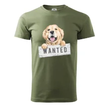 Zlatý retriever - šteniatko wanted