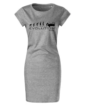 Evolúcia mechanik Evolúcia mechanik