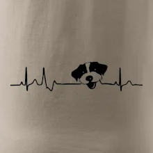 Jack Russell Teriér hrubosrstý Ekg