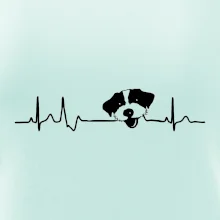Jack Russell Teriér hrubosrstý Ekg